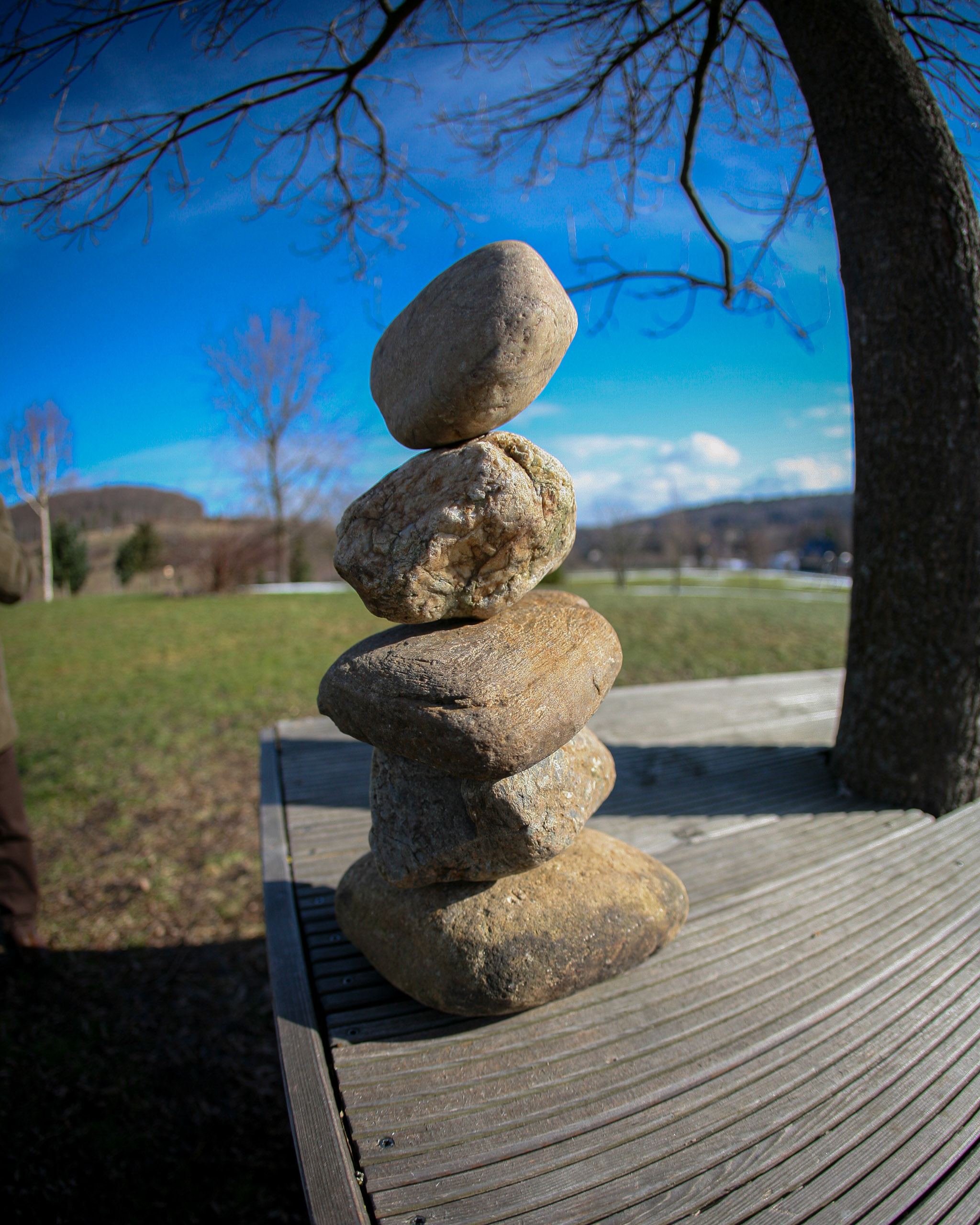 20100227110415 IMG 9958